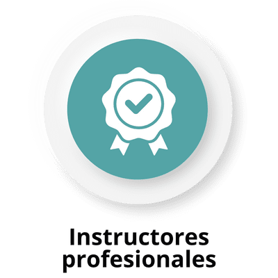 Instructores profesionales